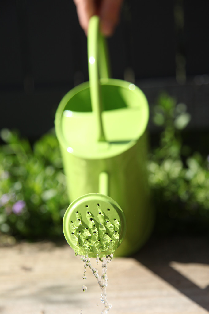 Green watering can pouring water